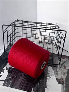 Jasmin (Sudwollgroup) 2/30 , 100% меринос, 100 г/1500 м, алый 3008